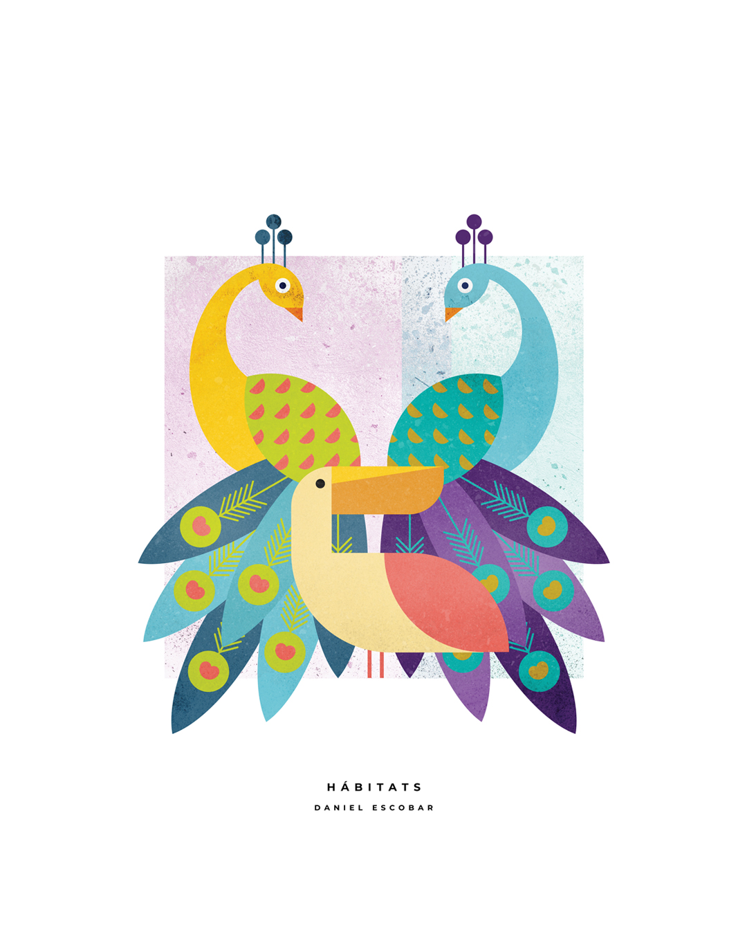 aves-1