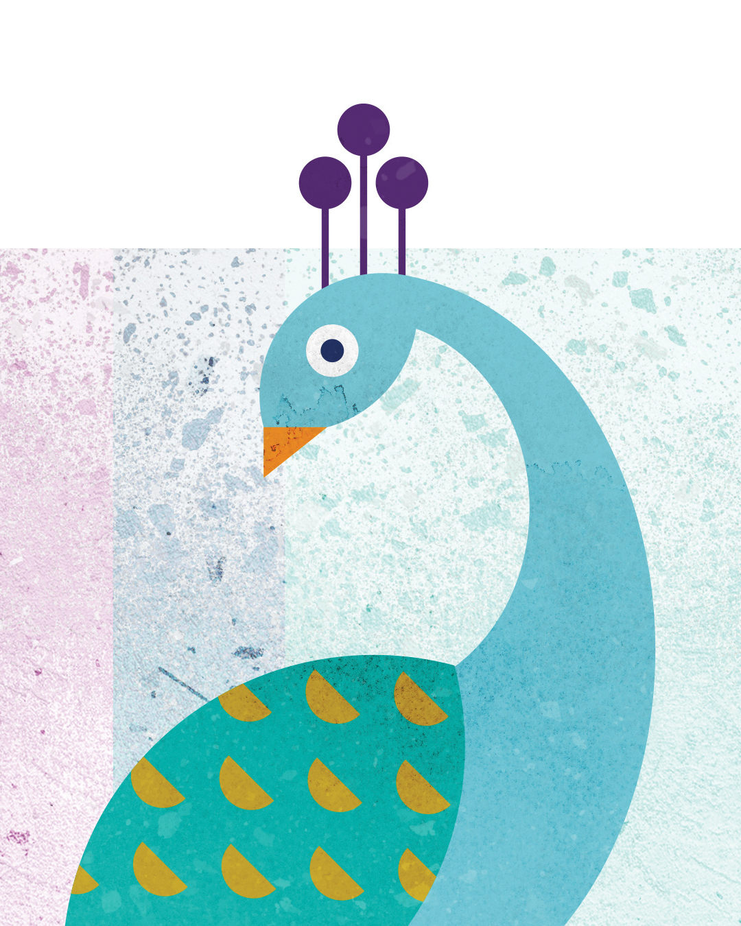 aves-2