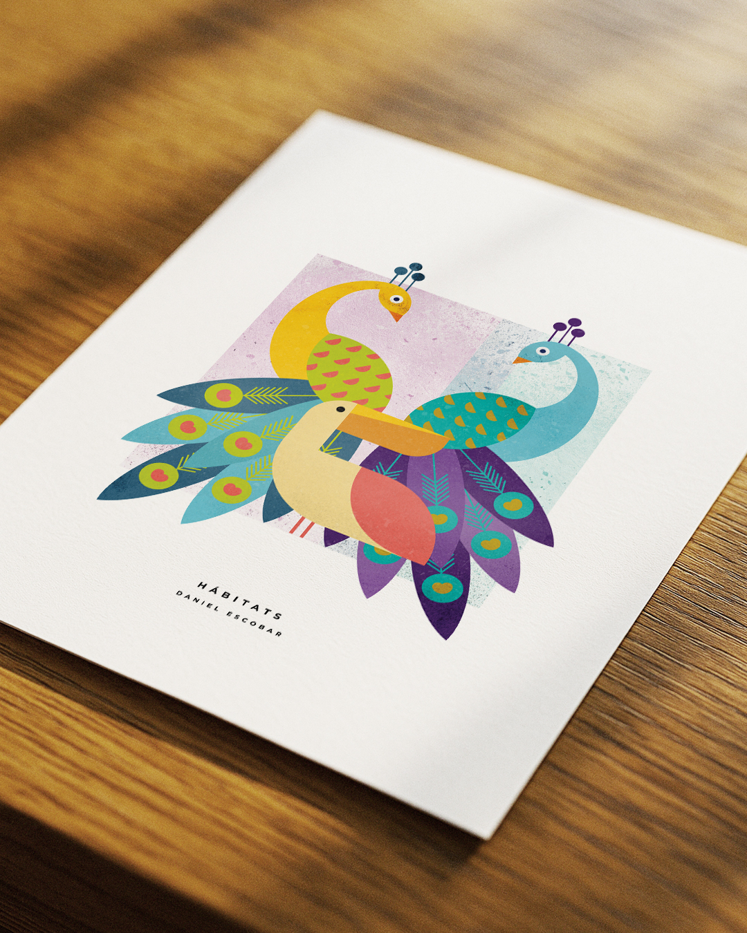 aves-3