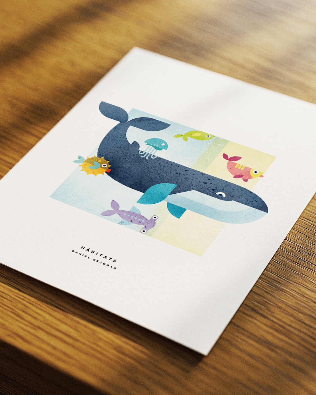 ballena-3