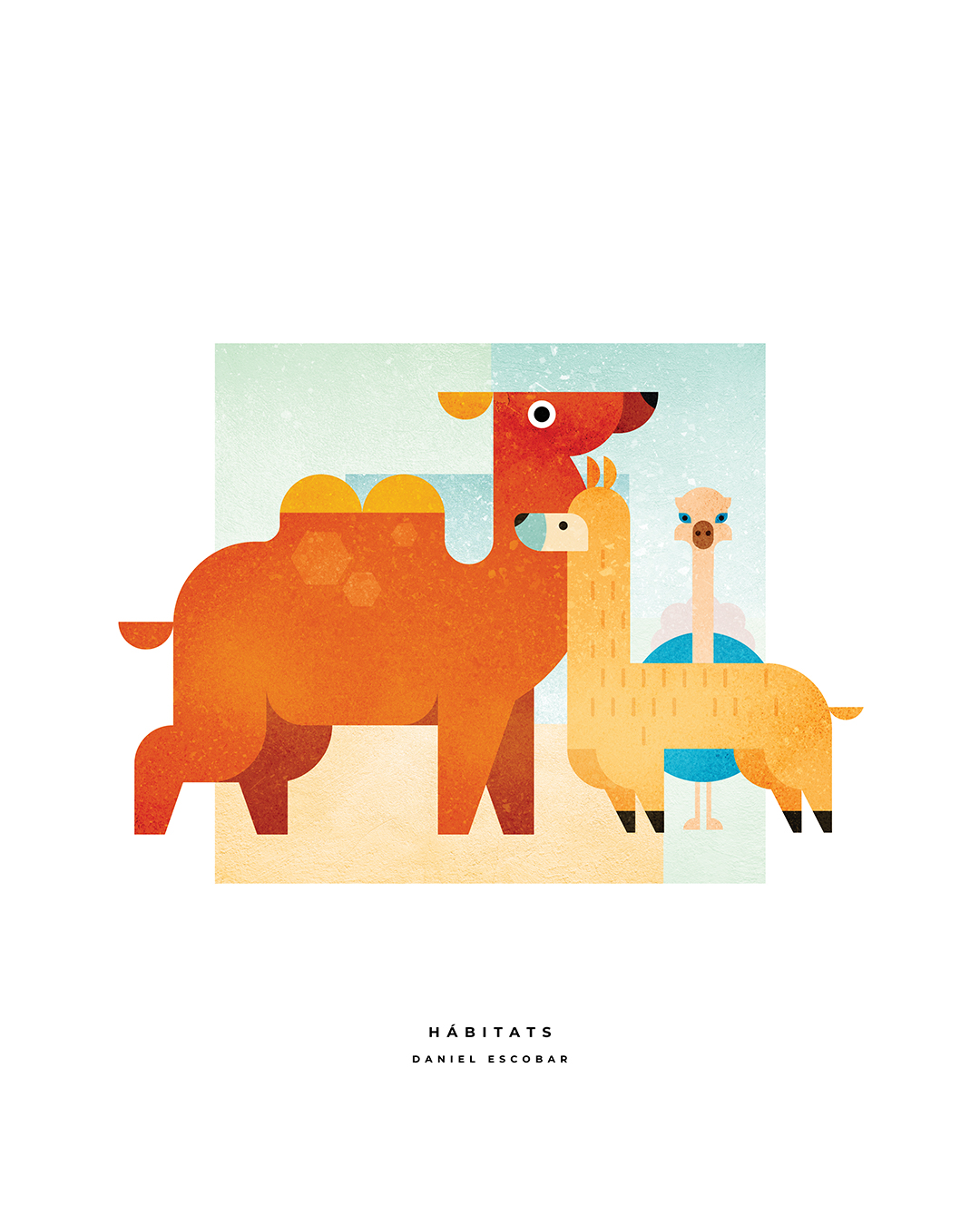 camello-1