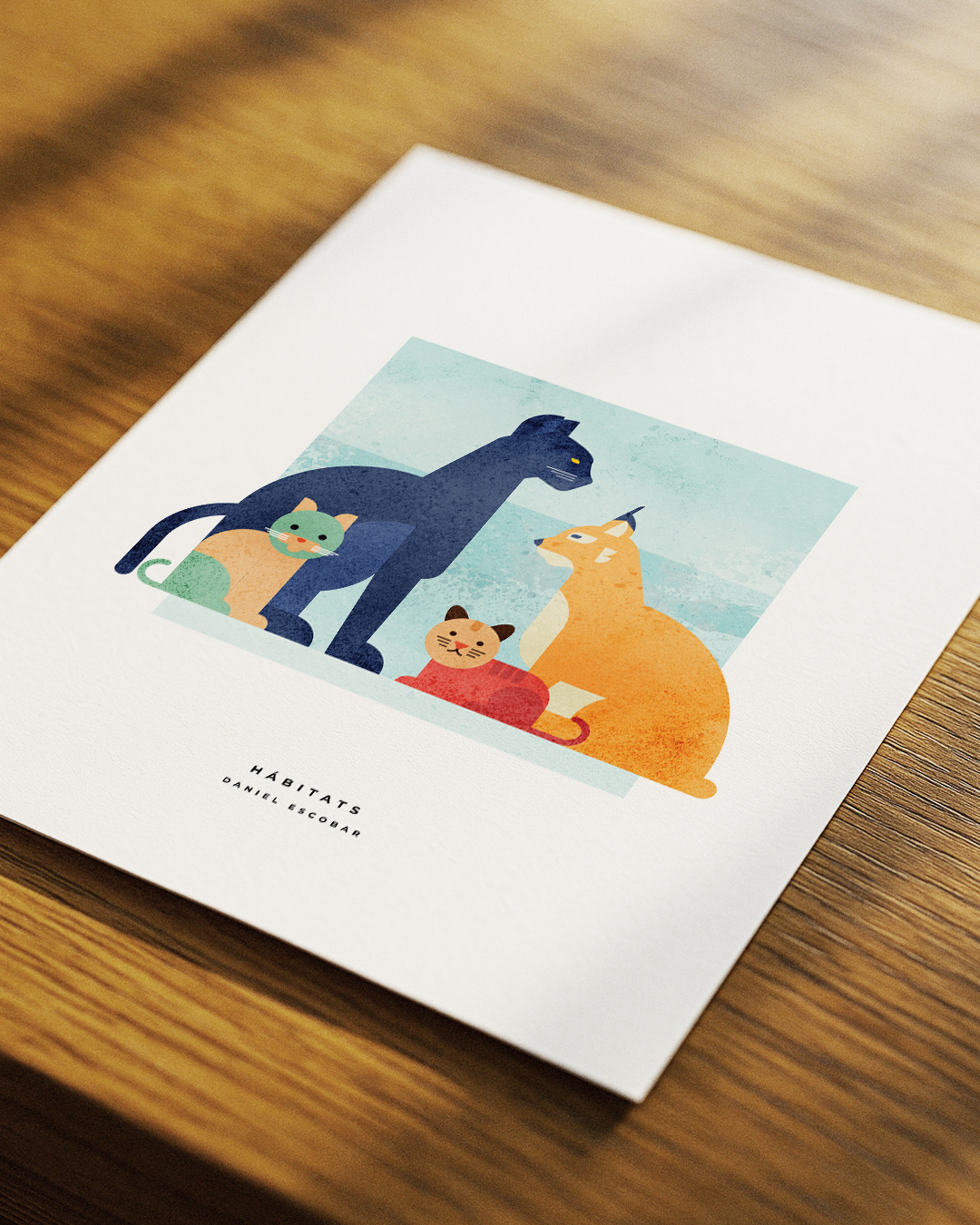 gatos-3