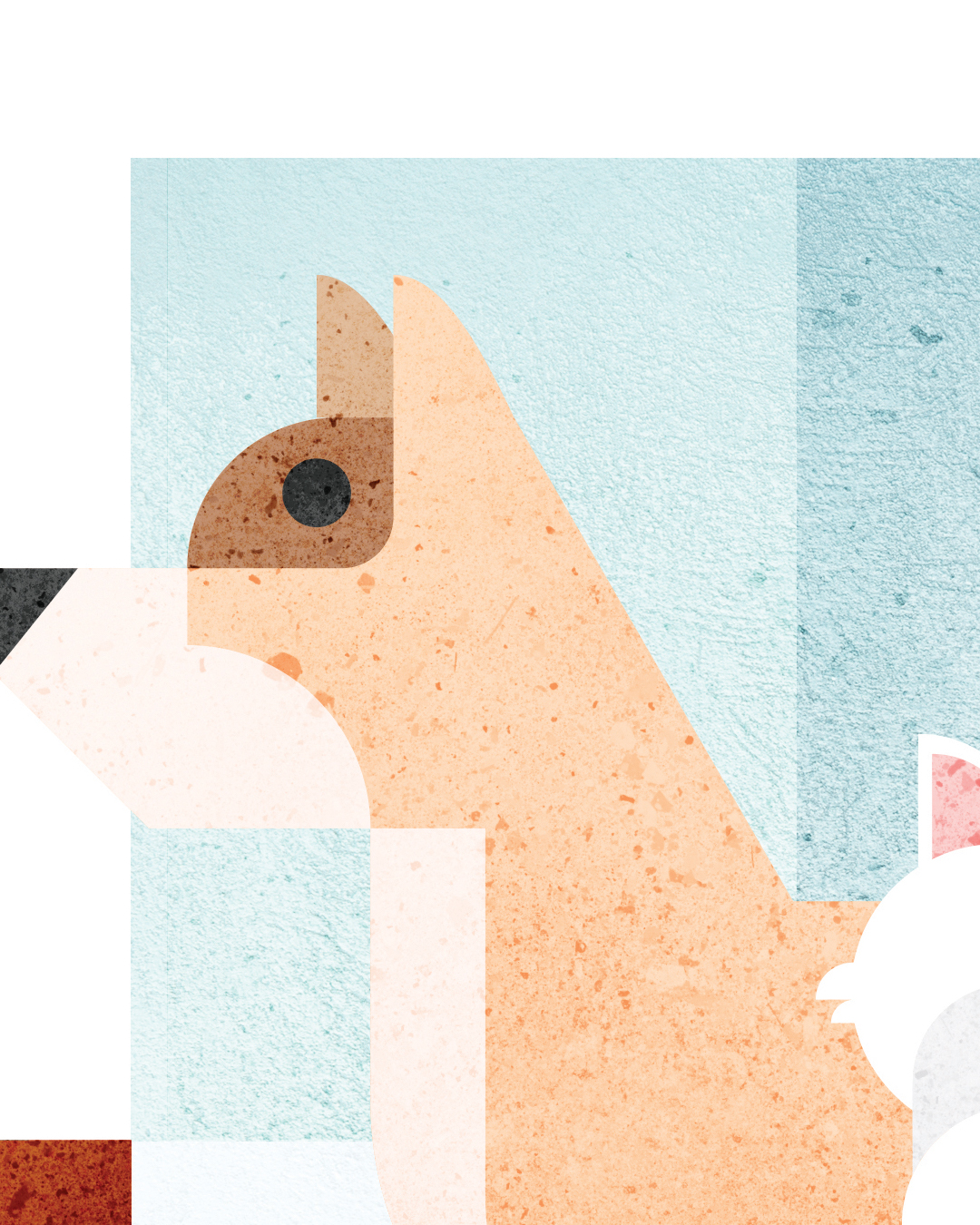 perros-2